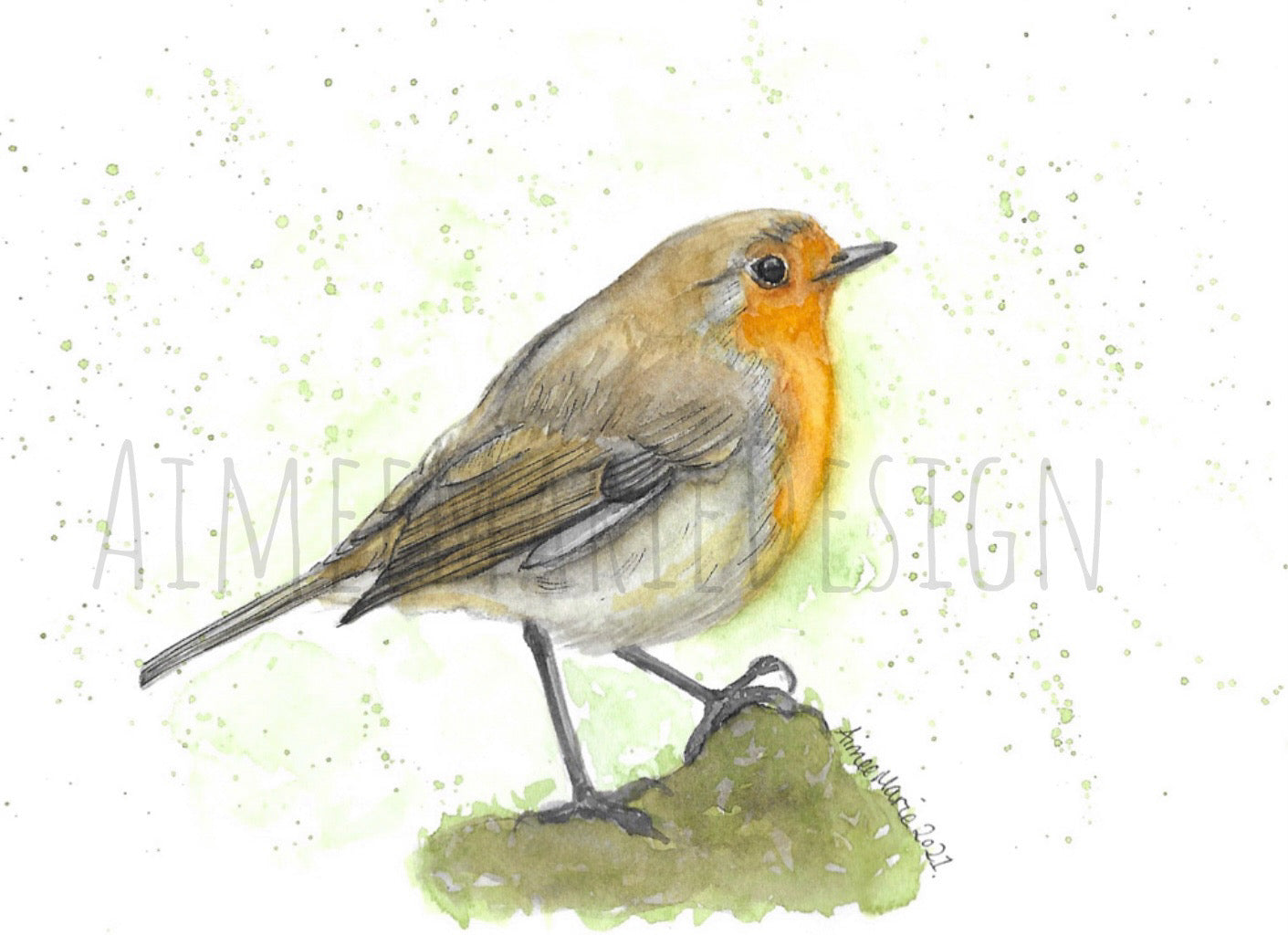 Close up of Robin art print