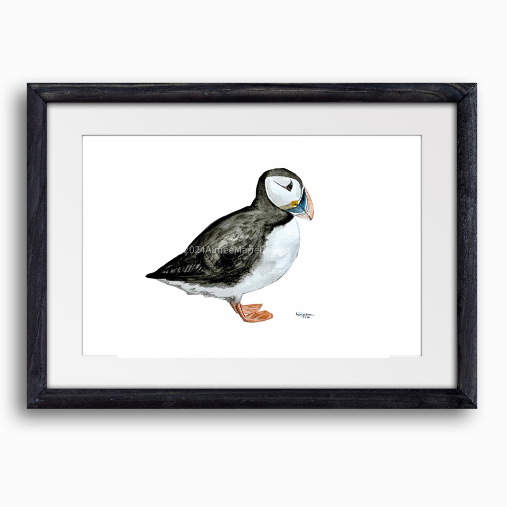 Puffin original watercolour painting (unframed).