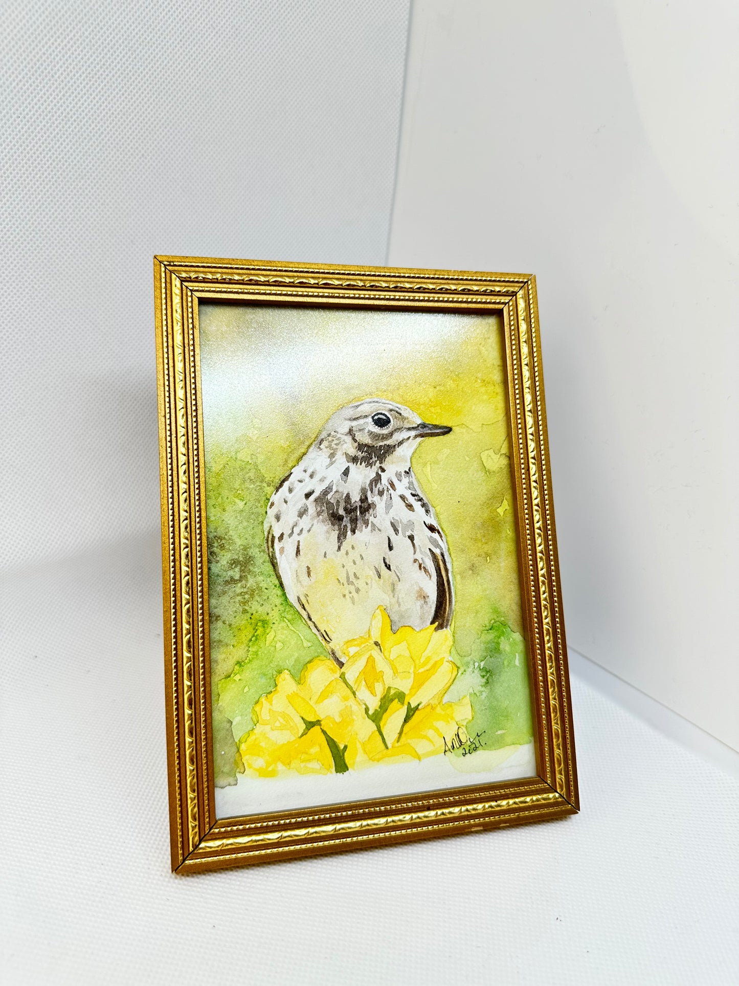 Meadow pipit original watercolour bird art. (Framed).