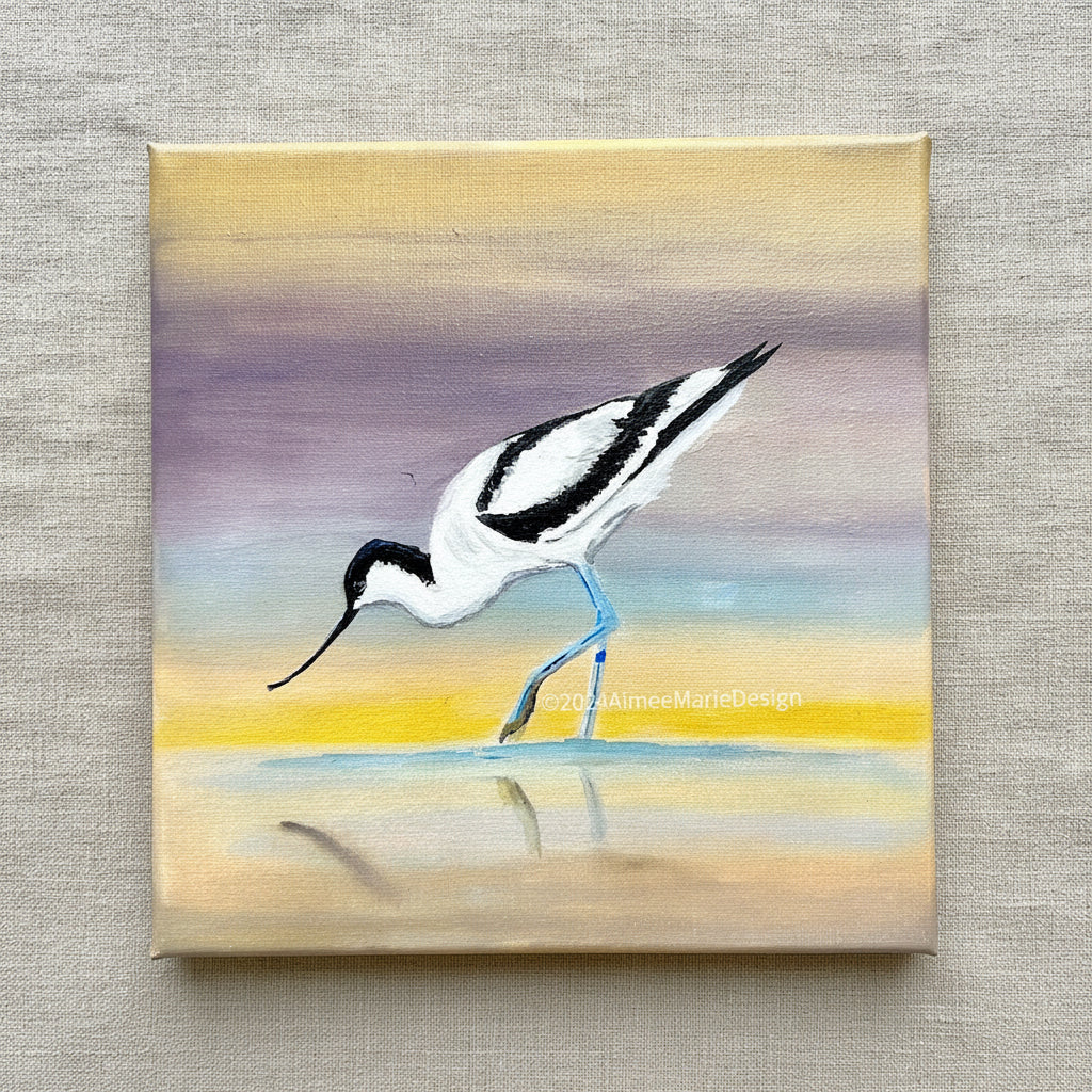 Avocet bird acrylic painting on a square canvas