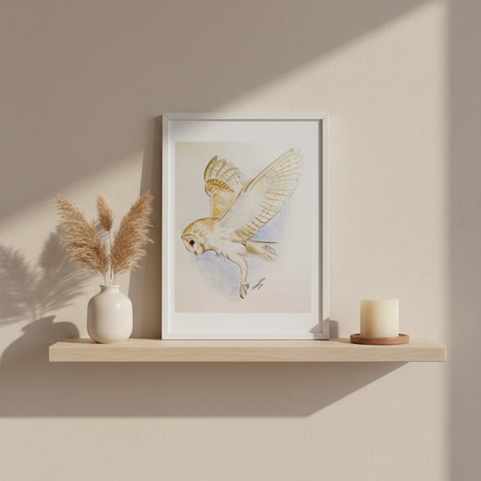 A coloured pencil drawing (print) of a barn owl on a white background, with a signature at the bottom.