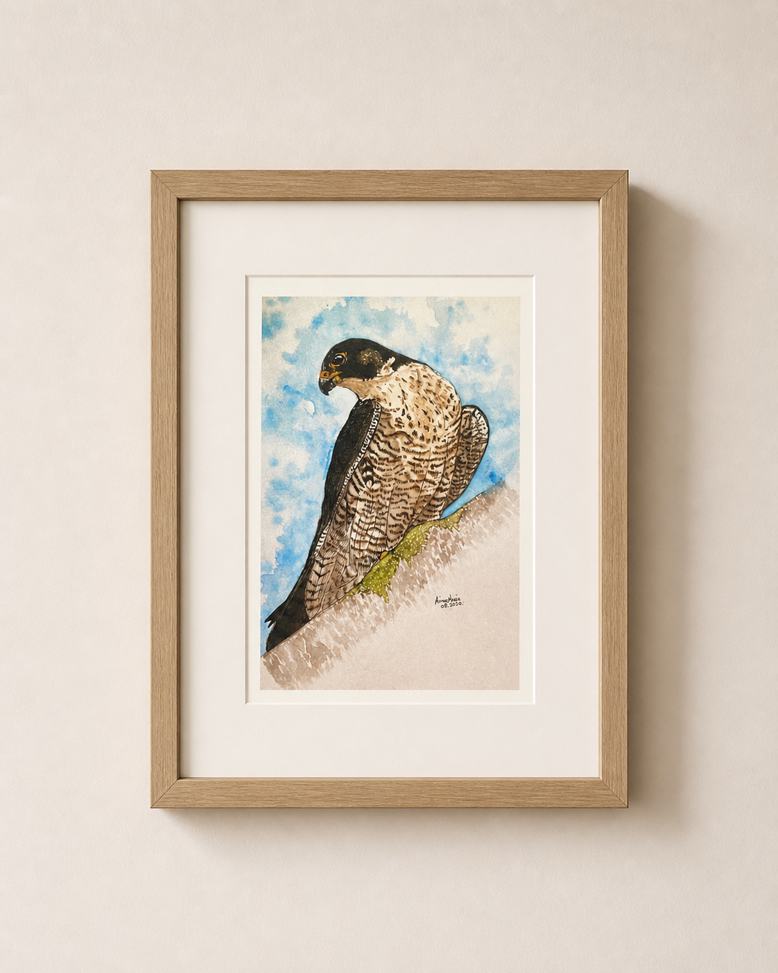 Print of a peregrine falcon show mounted and framed on a wall