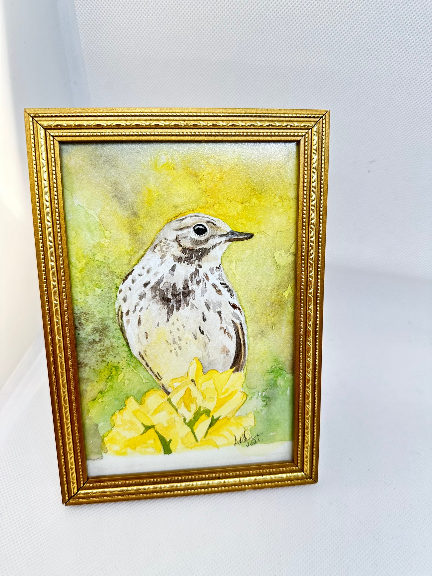 Meadow pipit original watercolour bird art. (Framed).