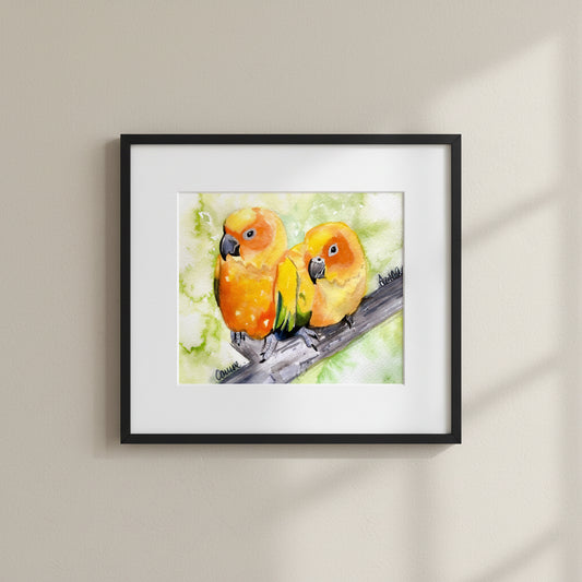 Original watercolour painting of two conure parrots shown framed and mounted on a wall 