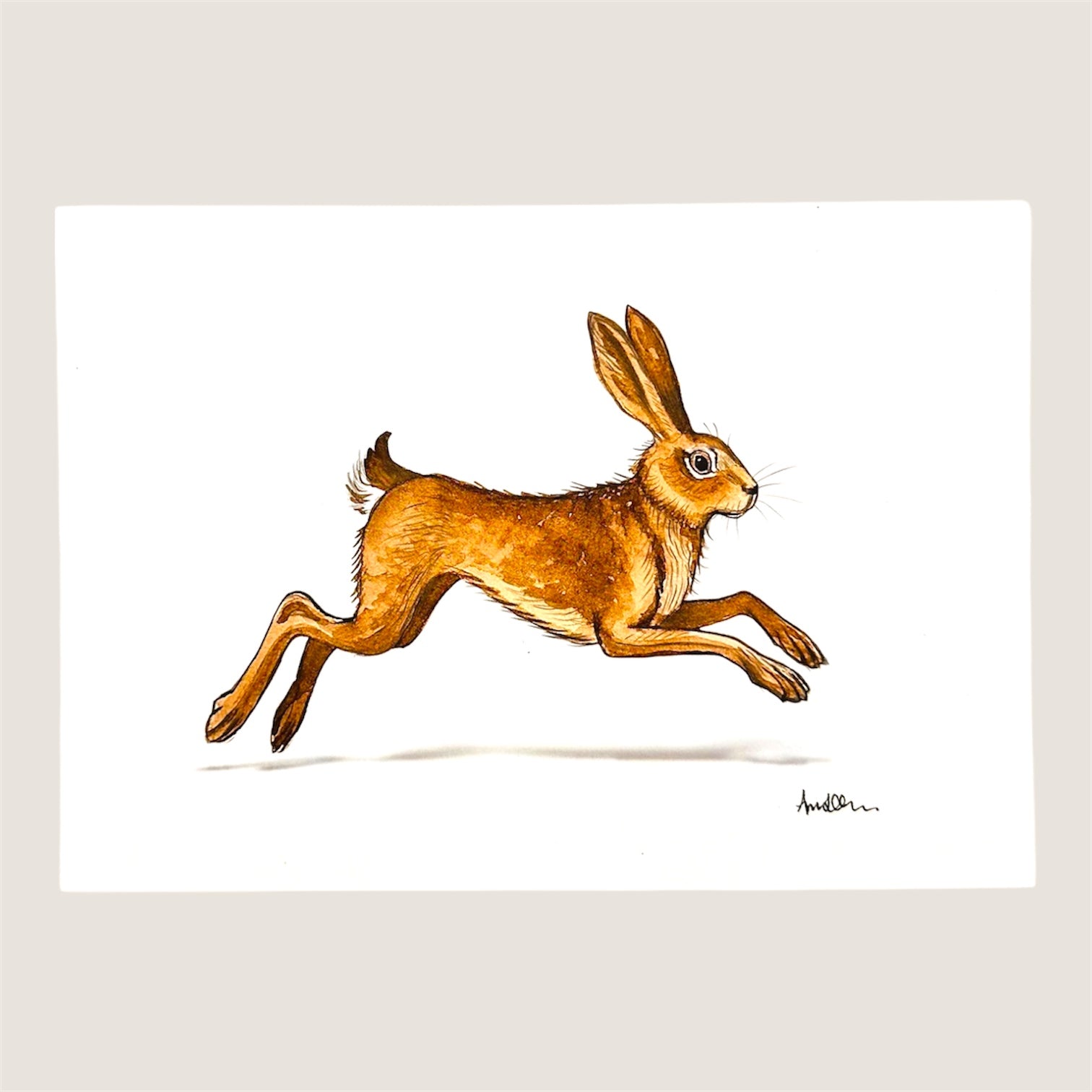 Illustration of a leaping hare on a white background (unframed and unmounted print)