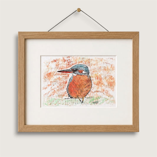 Framed artwork of a British kingfisher bird on a white wall