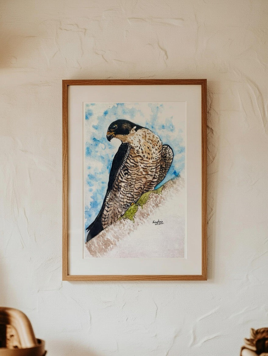 Framed artwork of a peregrine falcon bird on a textured wall