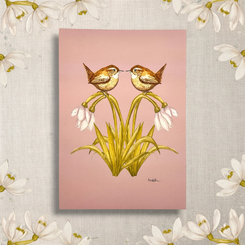Art print of two British wren birds sitting on snowdrop flowers on a pink background  