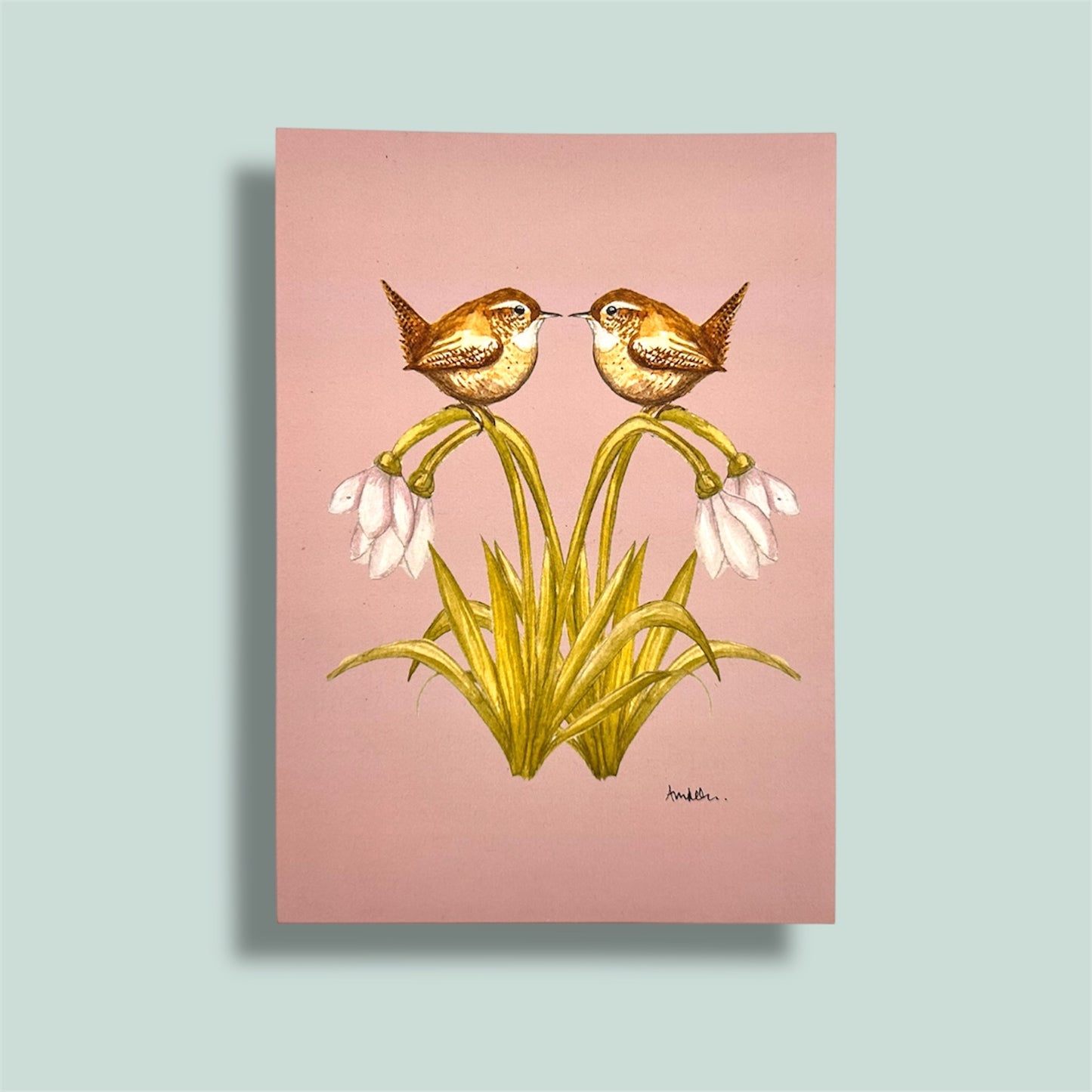 British wildlife wall art print - wrens and snowdrops.