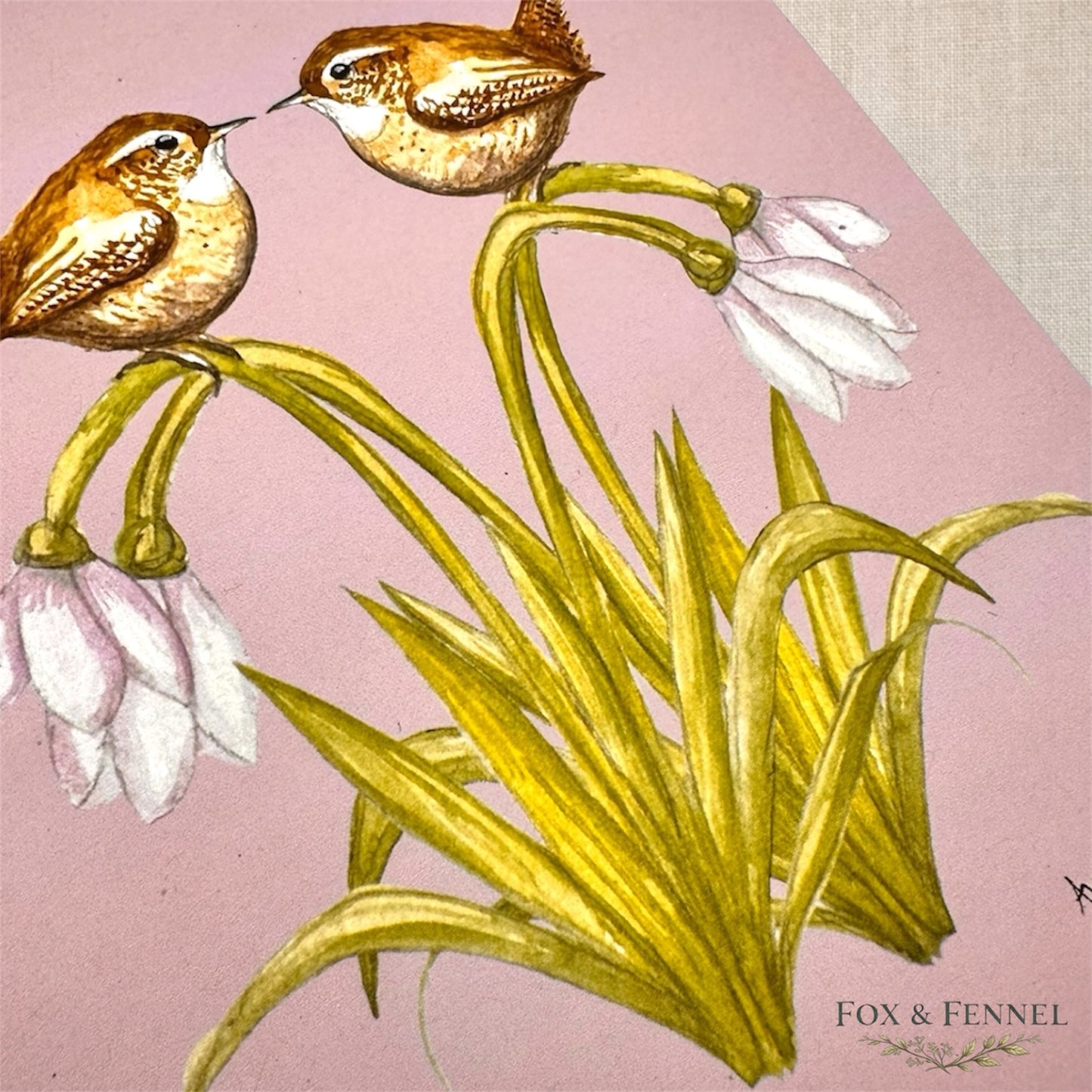 British wildlife wall art print - wrens and snowdrops.